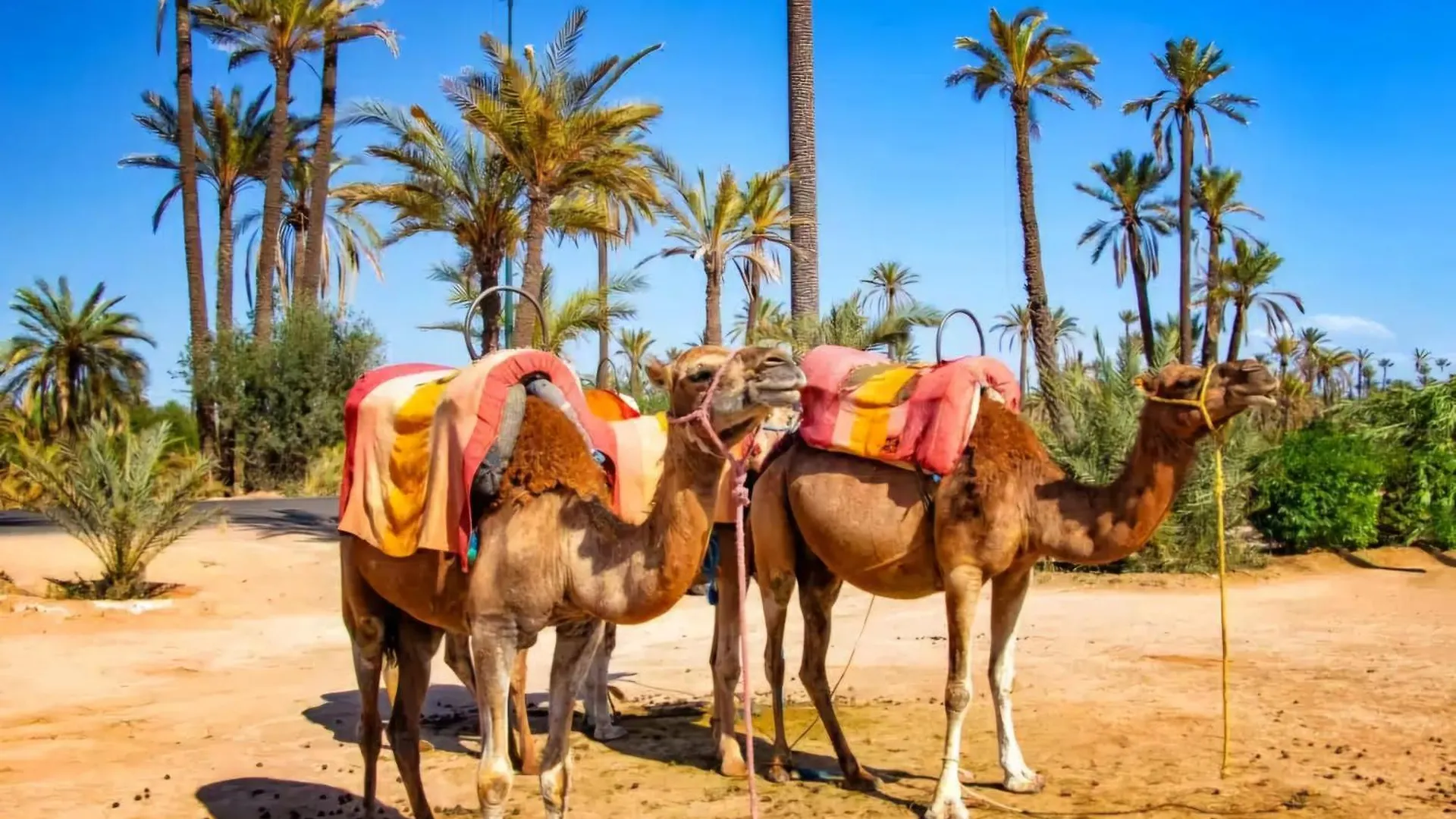 La Perle De L'Atlas By Golf Resort Marrakesh Marokko